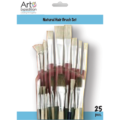 Assorted Natural Hair Brushes