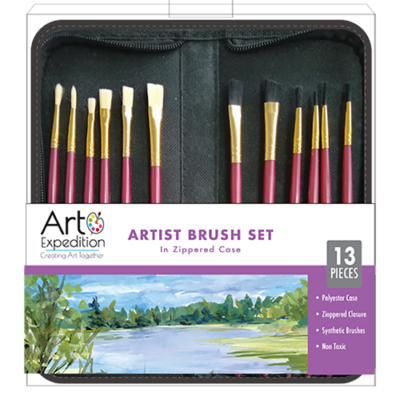 Assorted Hair Brushes Zippered Case