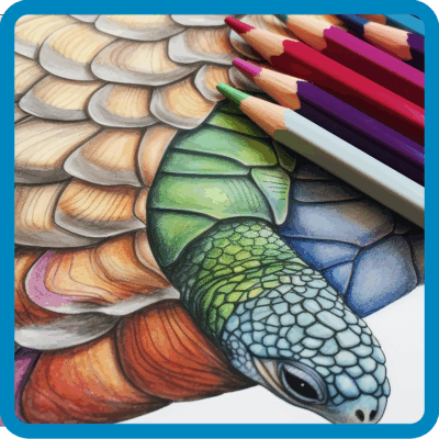 Colored Pencils